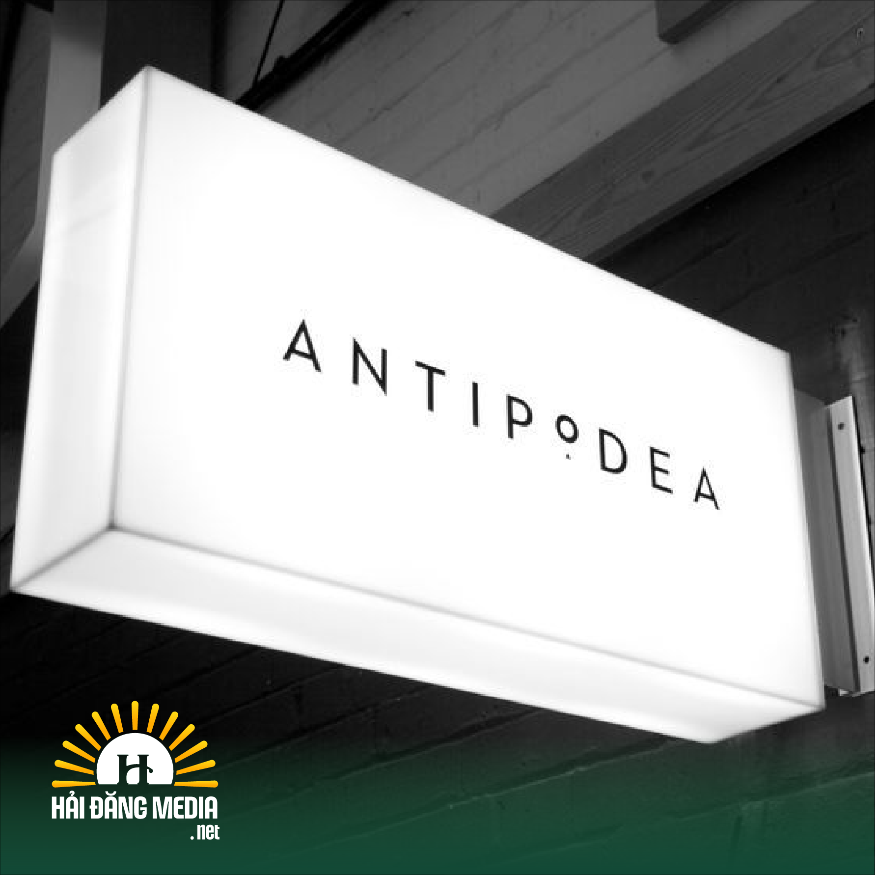 bien hieu hop den mica